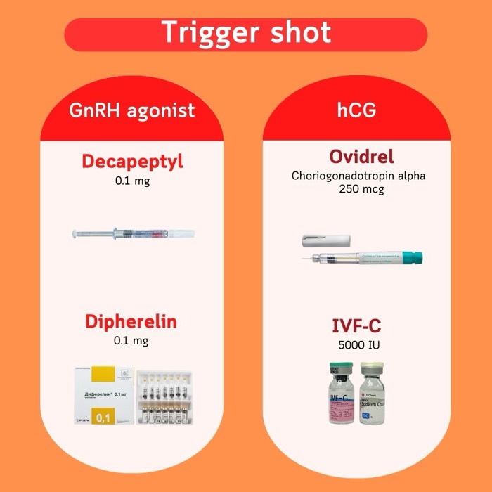 Iniezioni trigger — agonisti del GnRH (Decapeptyl, Diphereline) e hCG (Ovidrel, IVF-C)